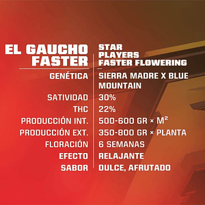 El Gaucho Fem X2-Bsf