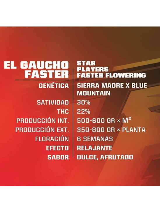 EL GAUCHO FEM X2-BSF 2