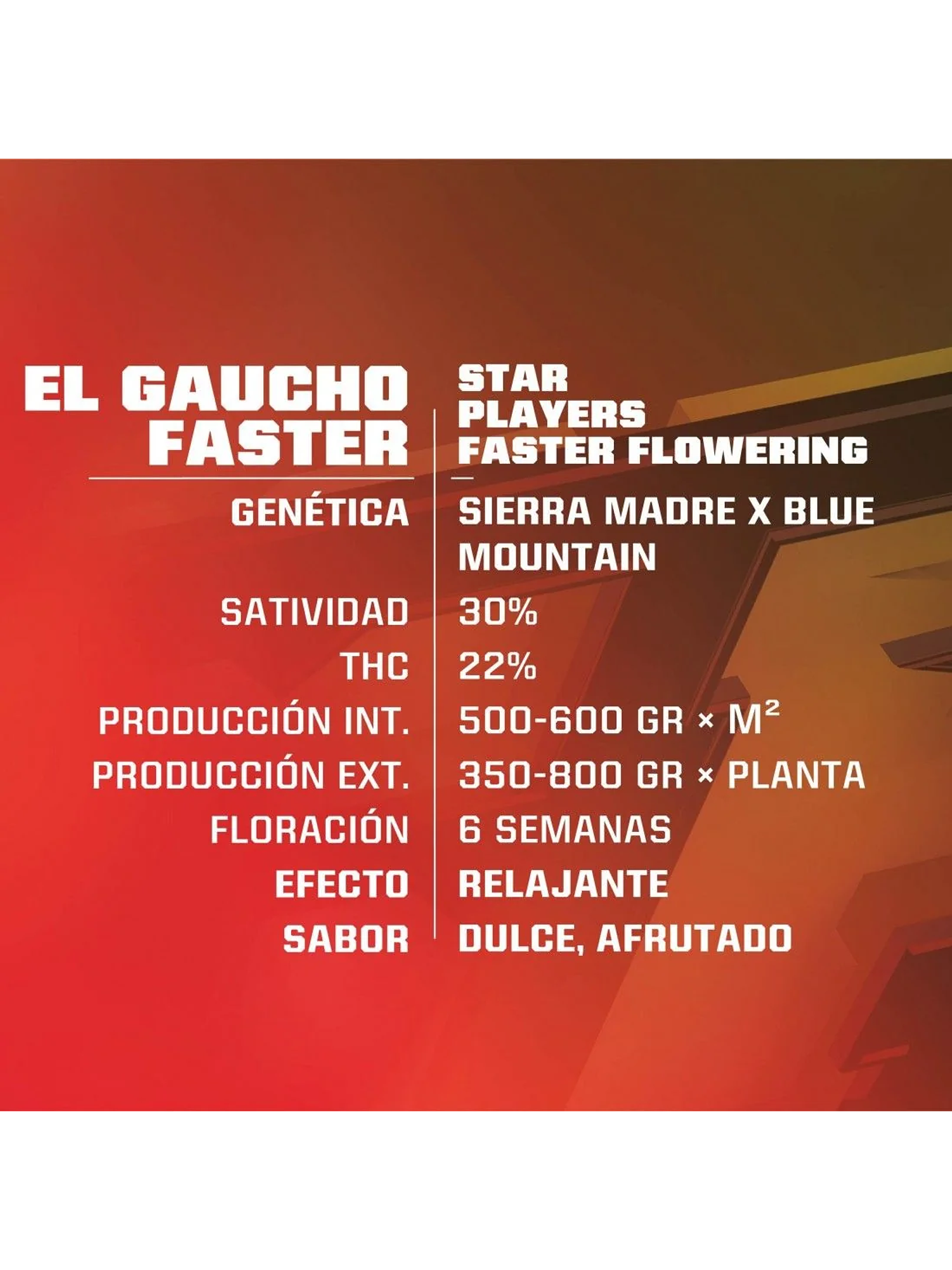 El Gaucho Fem -Bsf (X4/X2) 2