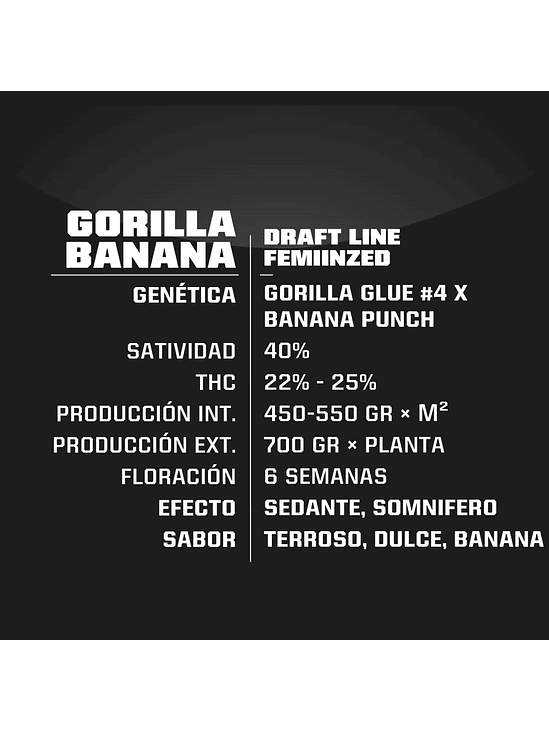 GORILLA BANANA  FEM X4-BSF 2