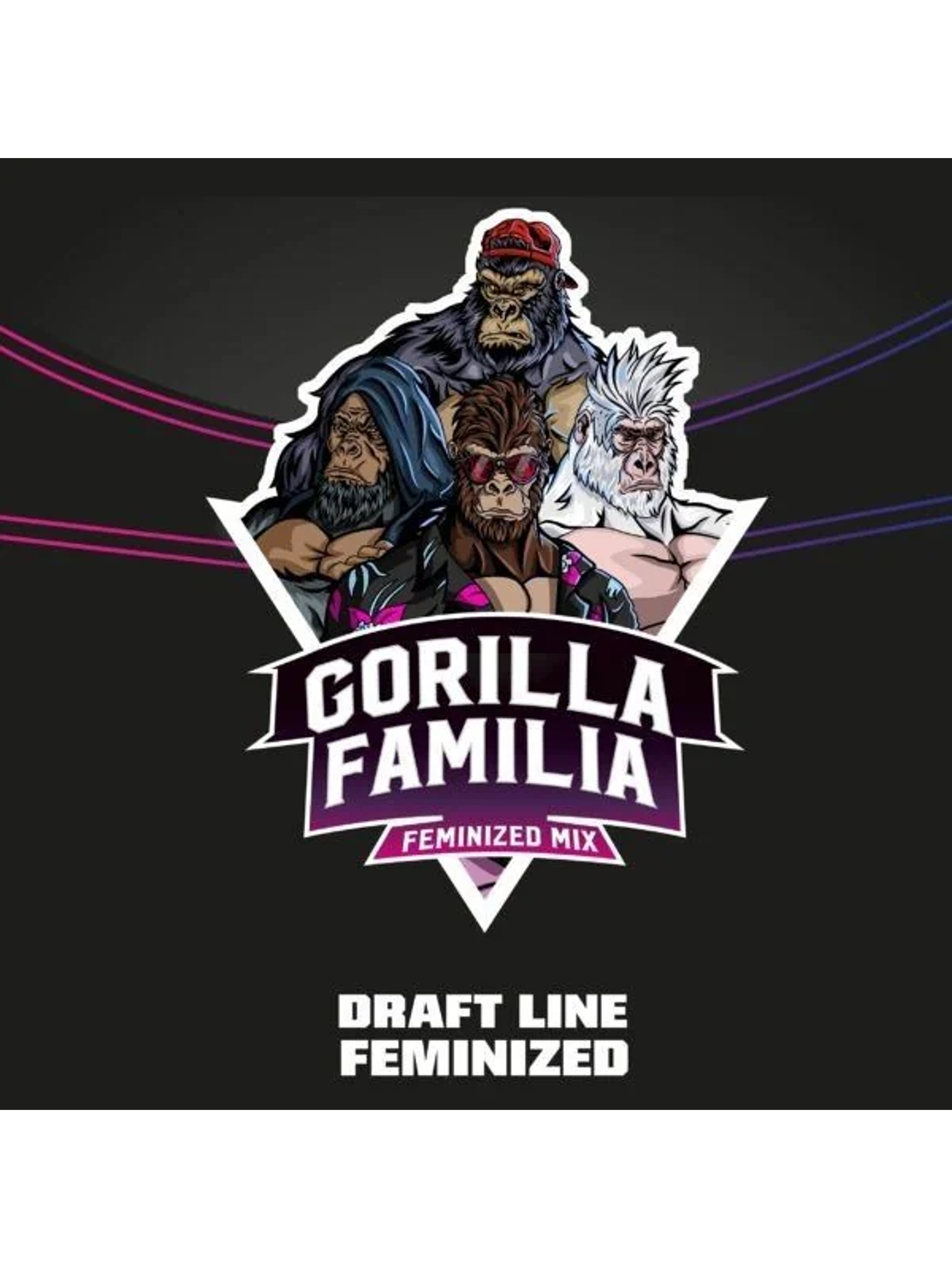 Gorilla Familia Mix Fem X12-Bsf 1