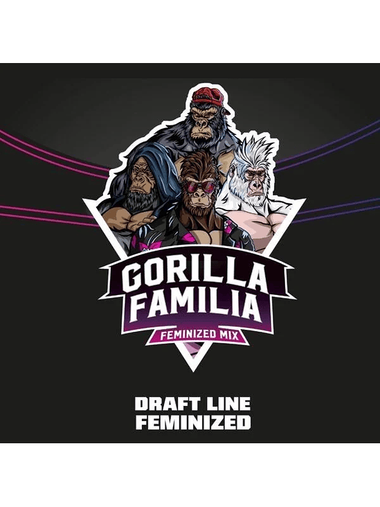 GORILLA FAMILIA MIX FEM X12-BSF 1