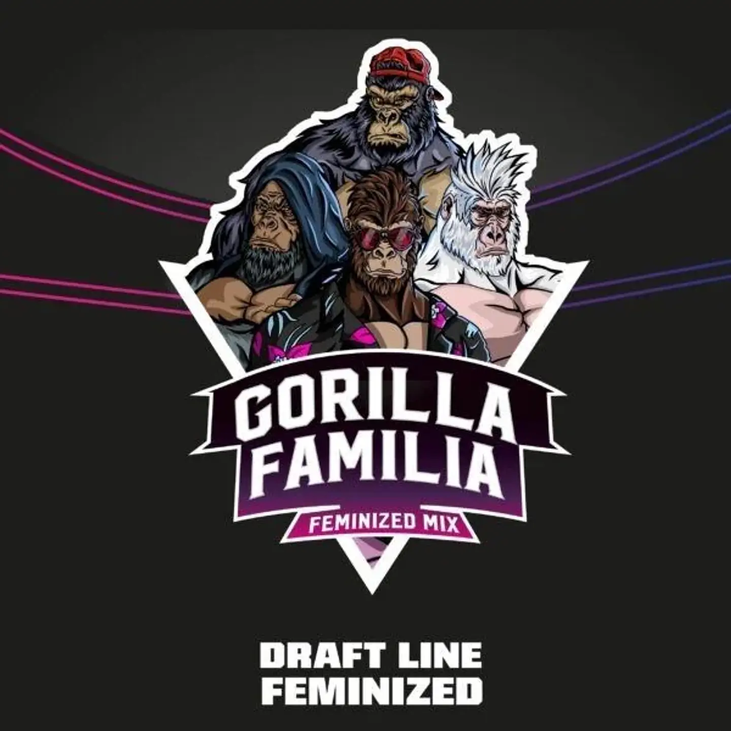 Gorilla Familia Mix Fem X12-Bsf 1