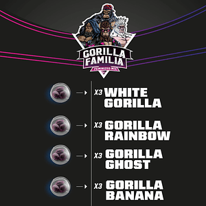 Gorilla Familia Mix Fem X12-Bsf