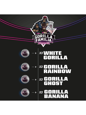 GORILLA FAMILIA MIX FEM X12-BSF 2