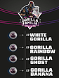 GORILLA FAMILIA MIX FEM X12-BSF - Miniatura 2