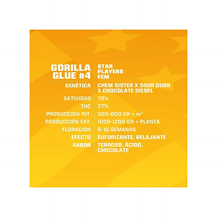 GORILLA GLUE N4 FEM  X2-BSF