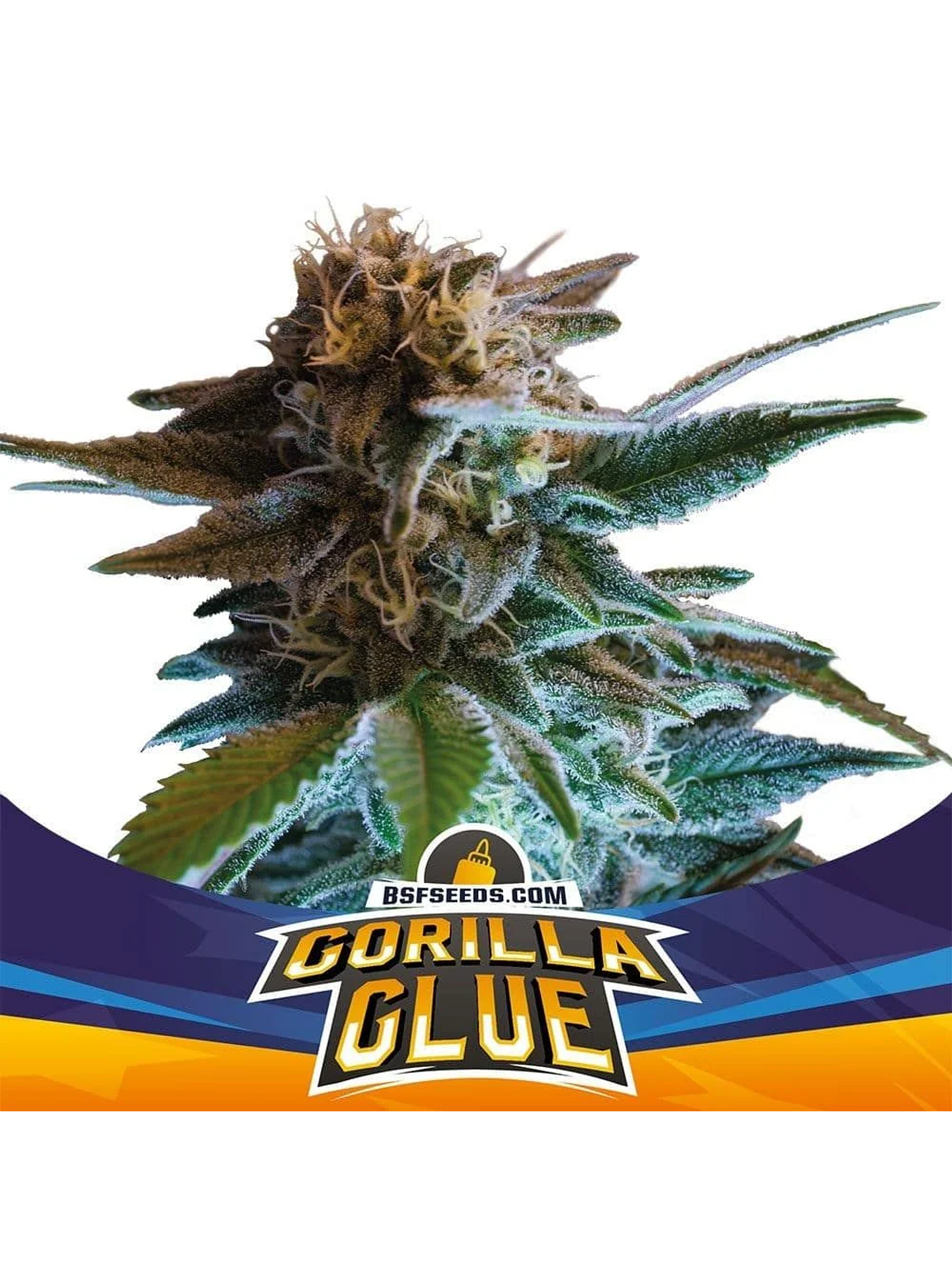 Gorilla Glue  Auto X4-Bsf 1