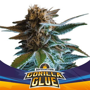 Gorilla Glue  Auto X4-Bsf