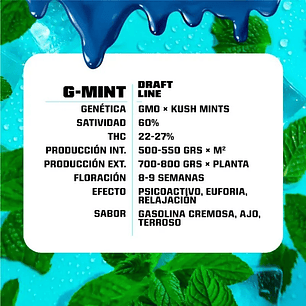 G-MINT FEM X7-BSF