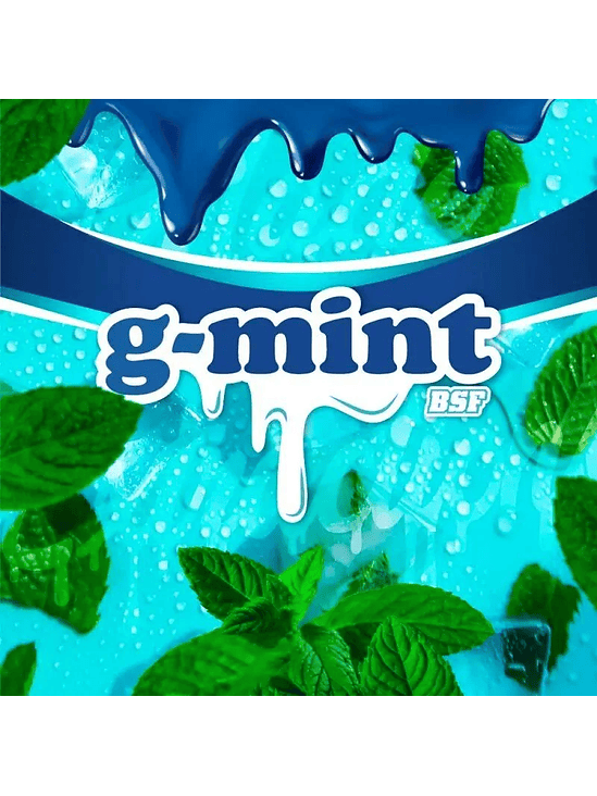 G-MINT FEM X12-BSF 1