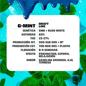 G-Mint Fem -Bsf (X12/X7/X4/X2)