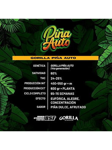 GORILLA PIÑA AUTO X4-BSF 1