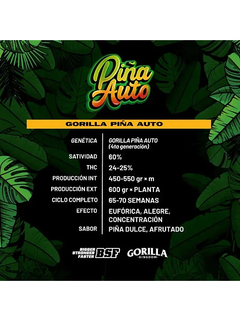 Gorilla Piña Auto -Bsf (X4/X2) 1