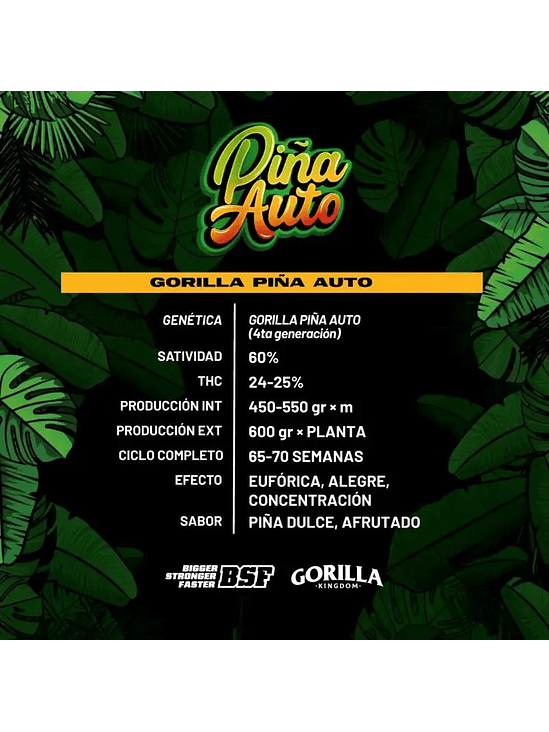 GORILLA PIÑA AUTO X4-BSF 1