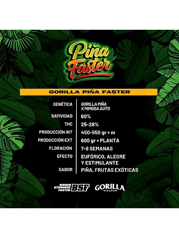 GORILLA PIÑA FAST VERSION X2-BSF 1