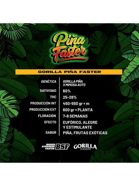 Gorilla Piña Fast Version -Bsf (X4/X2) 1