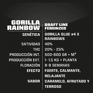 GORILLA RAINBOWS FEM X4 -BSF