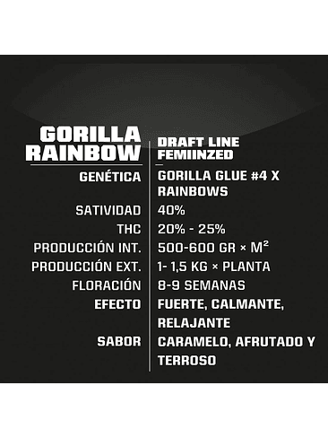GORILLA RAINBOWS FEM X4 -BSF 2