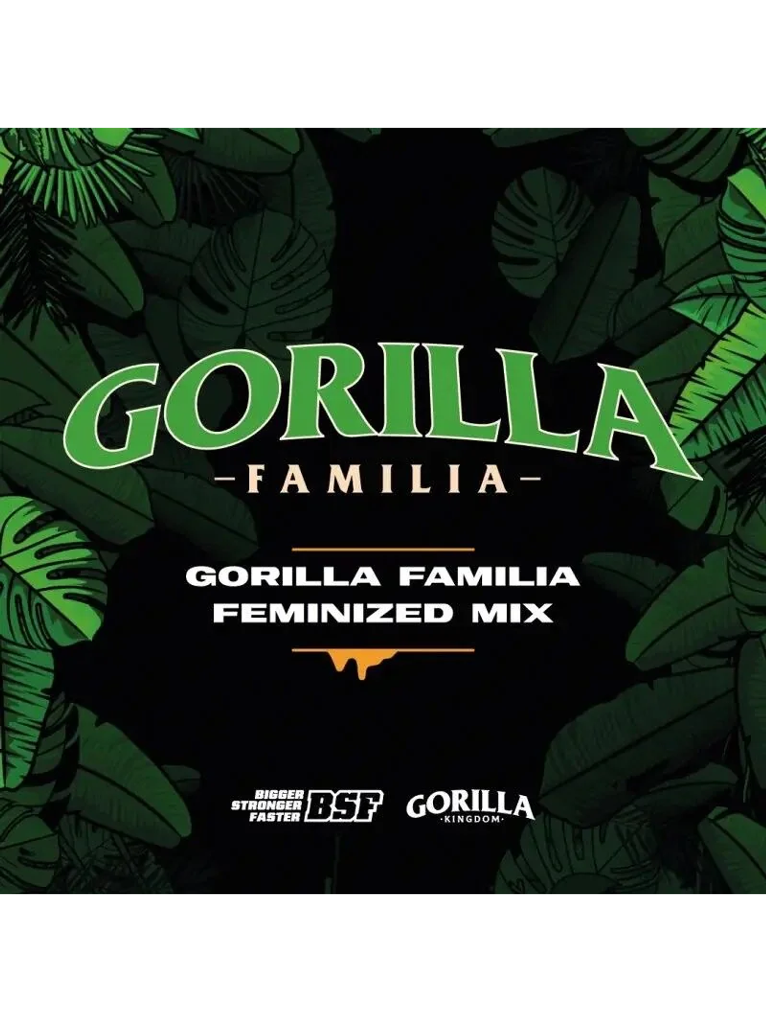 Gorilla Familia Fem X12 -Bsf 1