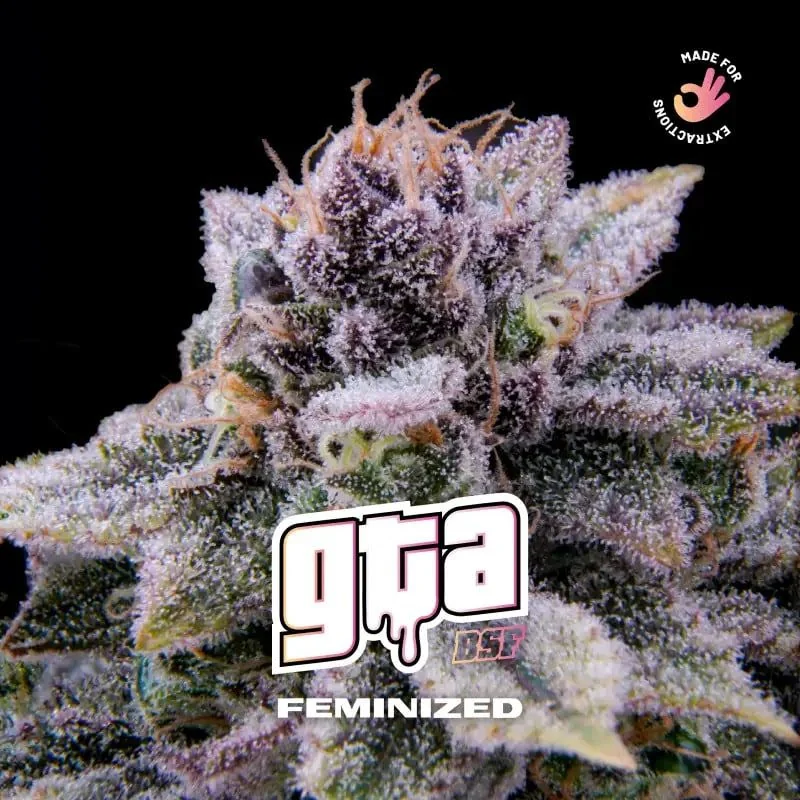 Gta X4 - Bsf 1