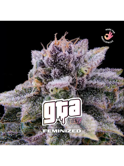 Gta X4 - Bsf 1