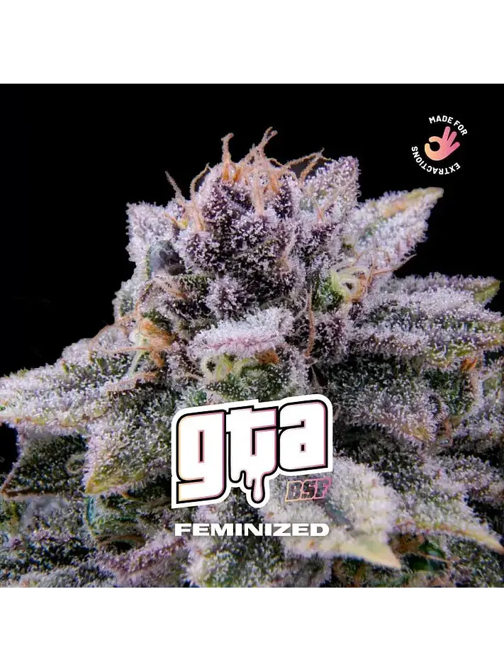 Gta X4 - Bsf 1