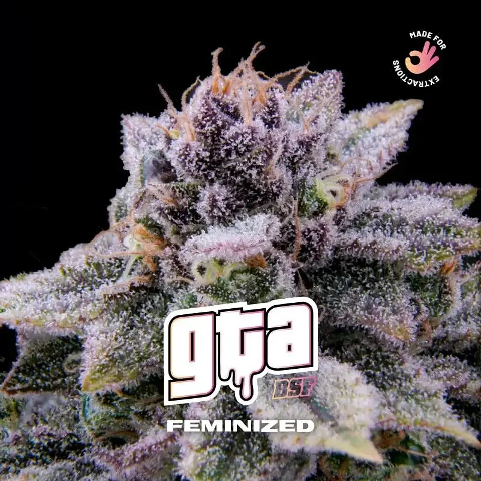 Gta X4 - Bsf 1