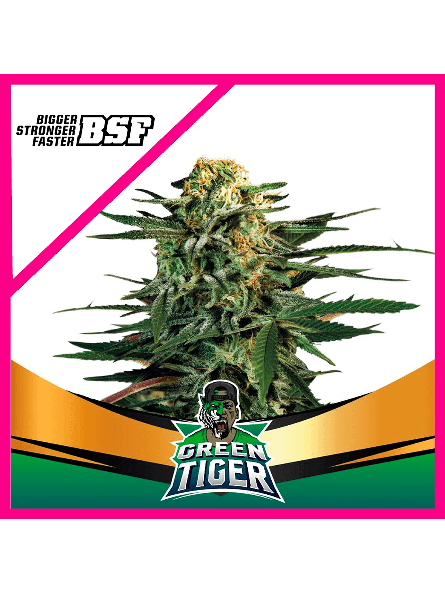 Green Tiger Fast Version Fem X4-Bsf 1
