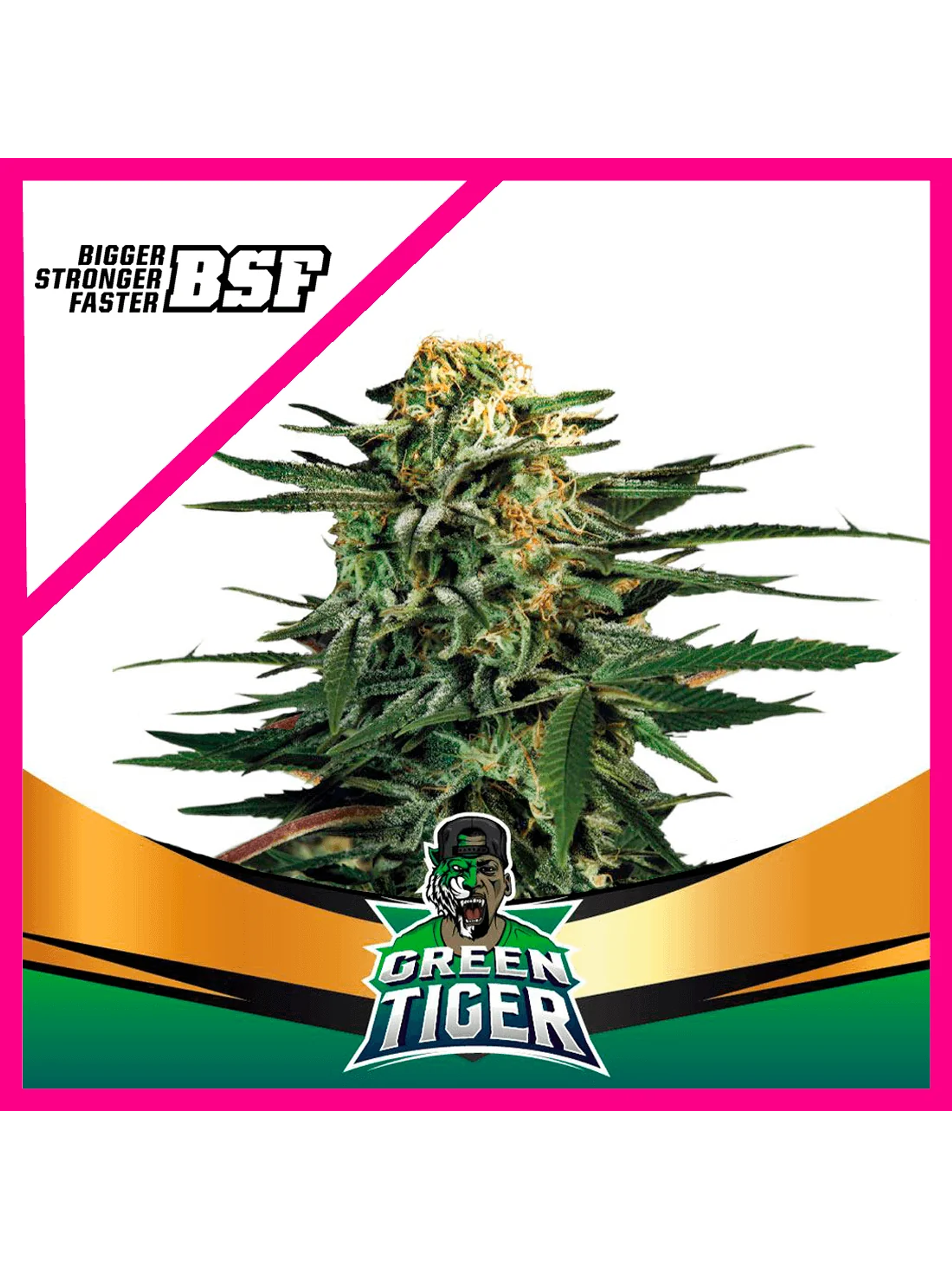 Green Tiger Fast Version Fem X4-Bsf 1