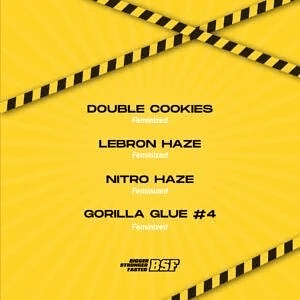 High Voltage Mix Fem X12-Bsf