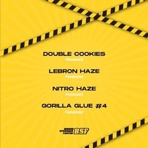 HIGH VOLTAGE MIX FEM X12-BSF