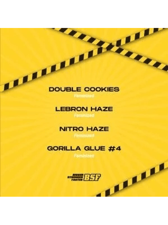 HIGH VOLTAGE MIX FEM X12-BSF 2