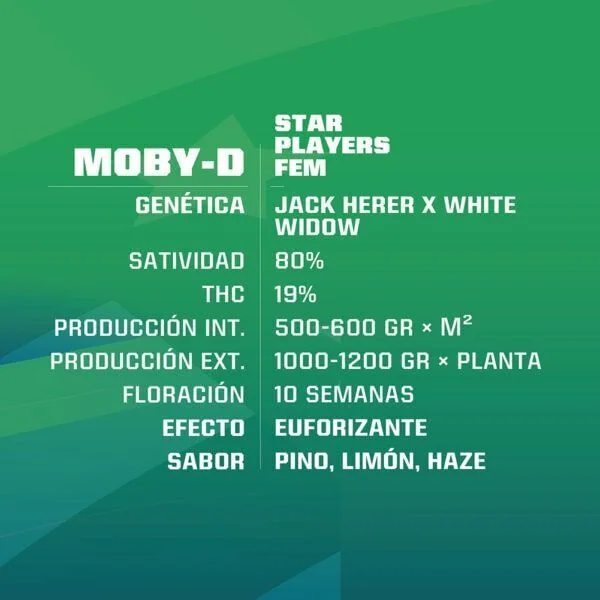 Moby-D Fem -Bsf (X12/X4/X2) 2