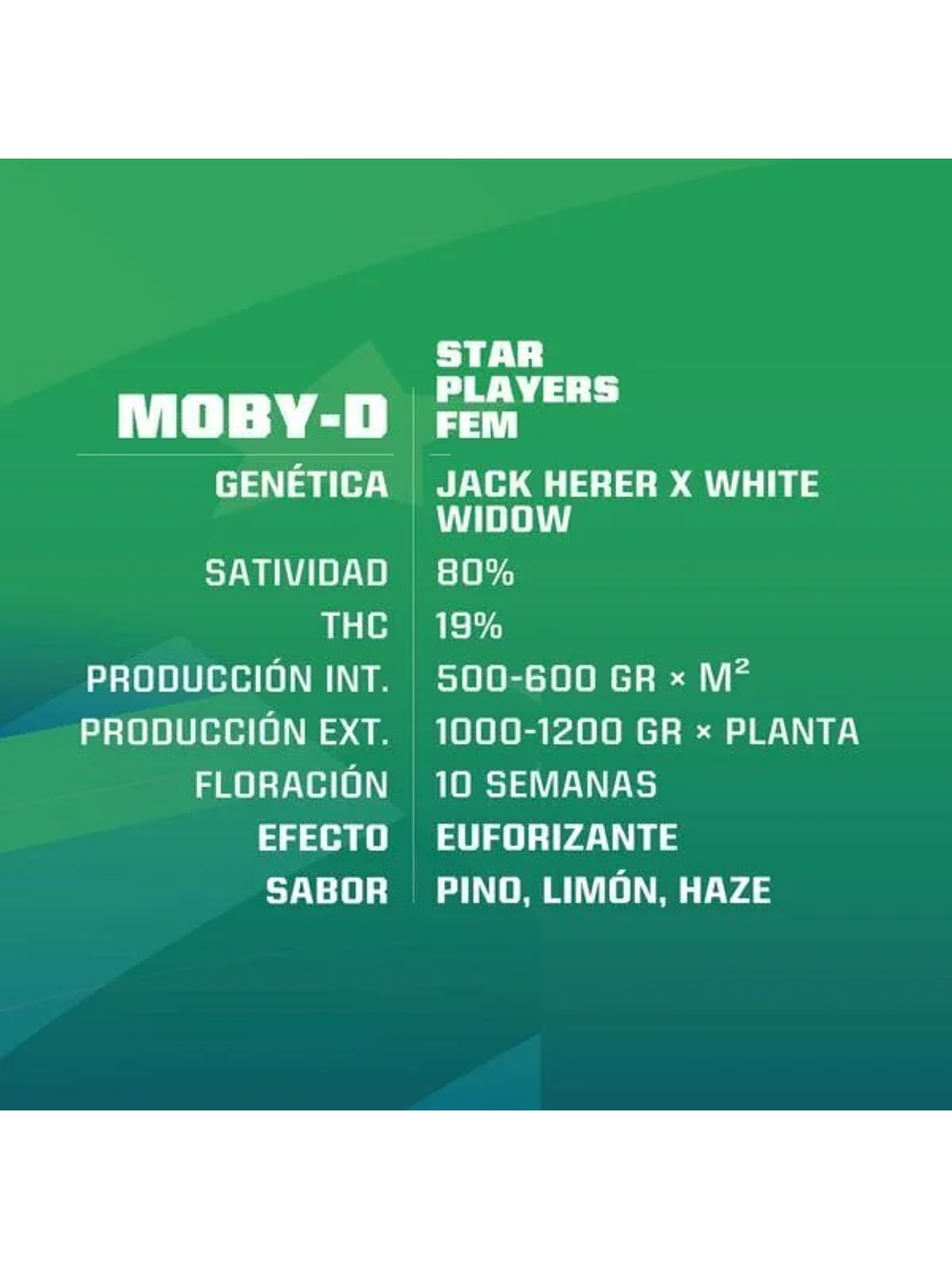 Moby-D Fem -Bsf (X12/X4/X2) 2