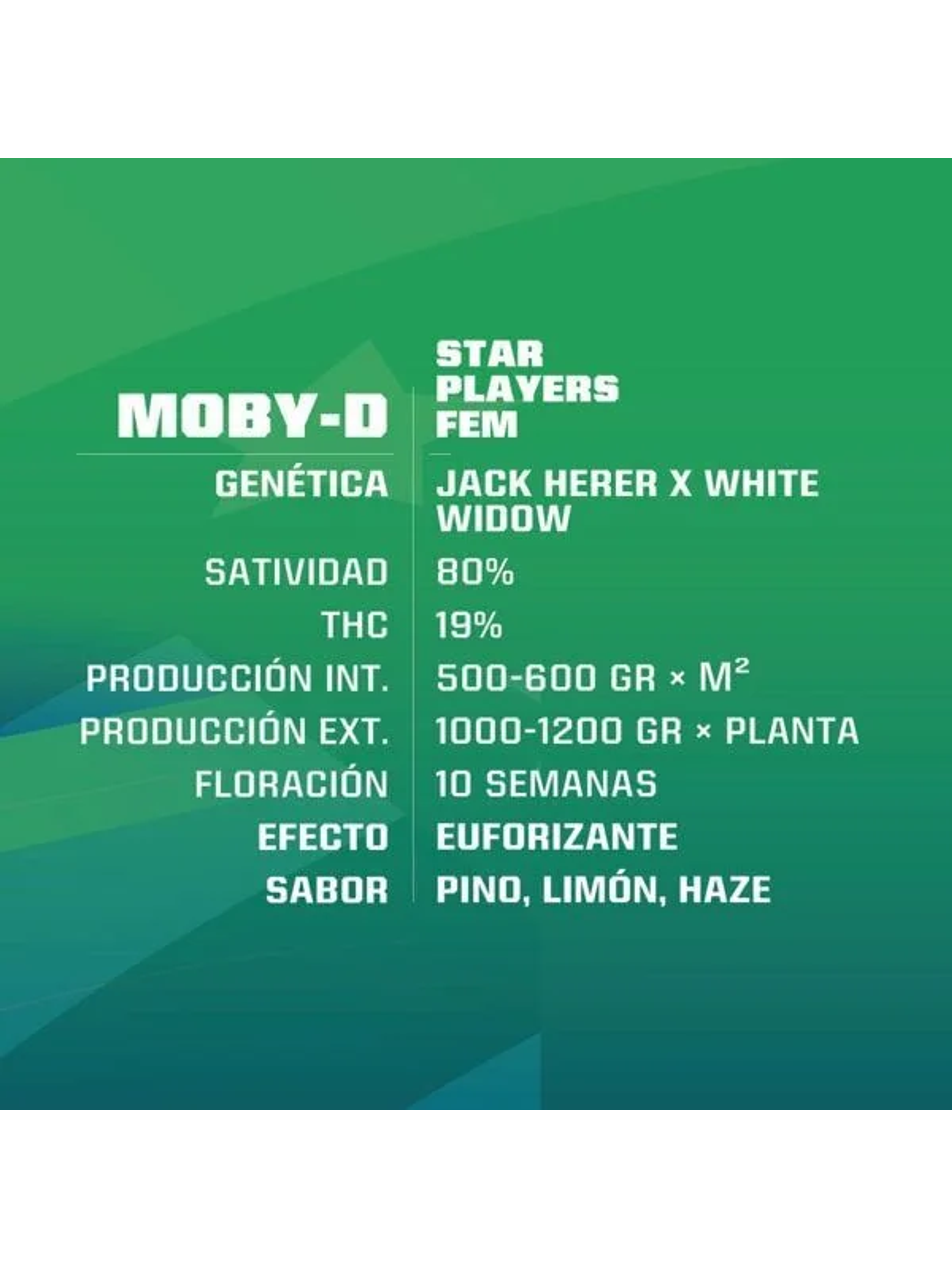 Moby-D Fem -Bsf (X12/X4/X2) 2