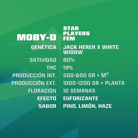 Moby-D Fem -Bsf (X12/X4/X2)