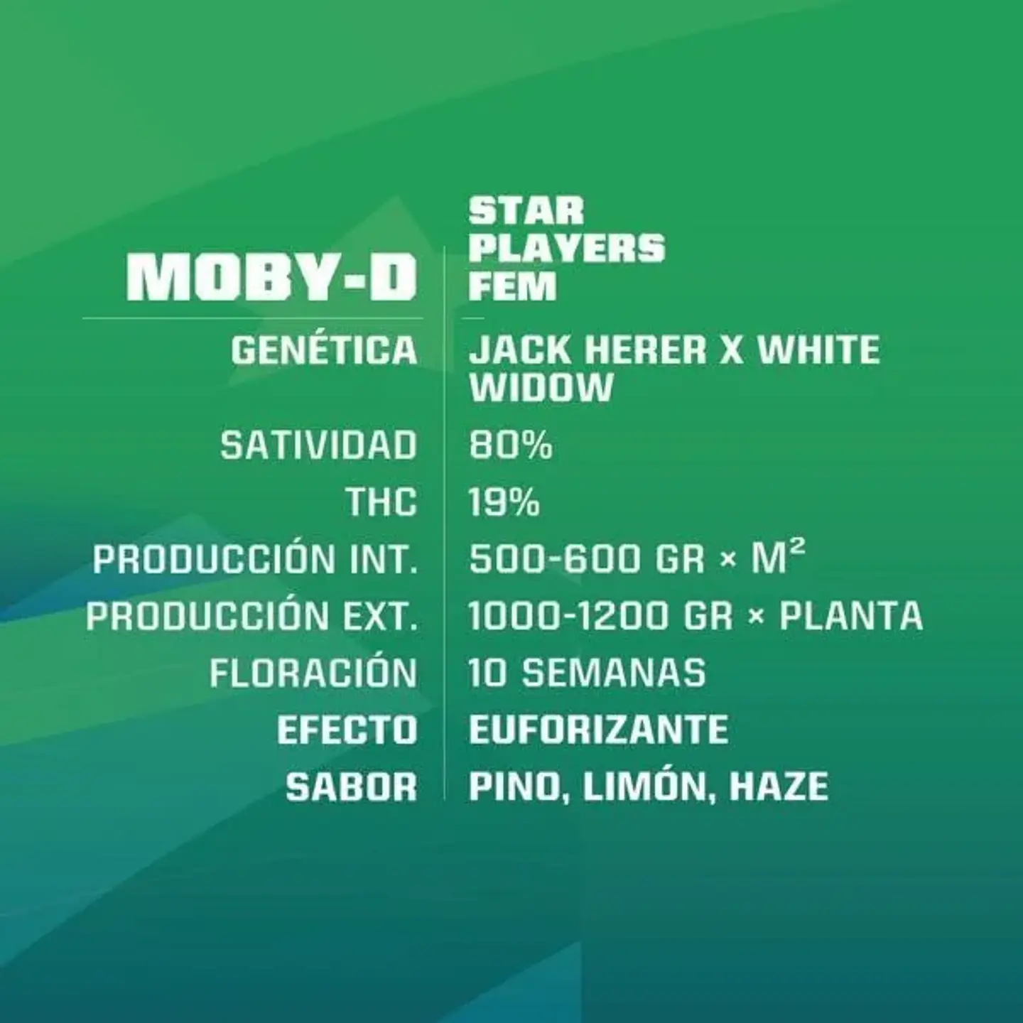 Moby-D Fem -Bsf (X12/X4/X2) 2