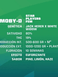 MOBY-D FEM X4-BSF - Miniatura 2