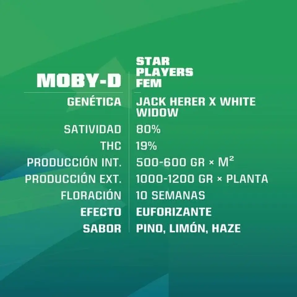 Moby-D Fem -Bsf (X12/X4/X2) 2