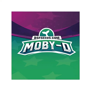 Moby-D Fem X4-Bsf