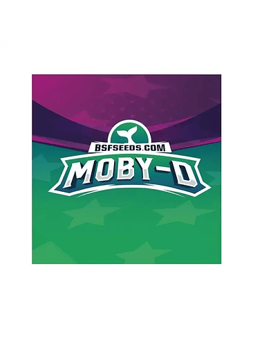 MOBY-D FEM X4-BSF 1