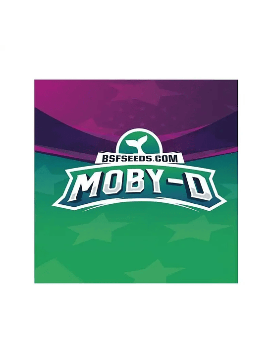 MOBY-D FEM X4-BSF 1