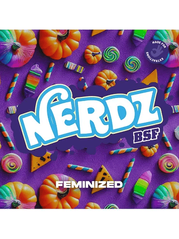 NERDZ X4 - BSF 1
