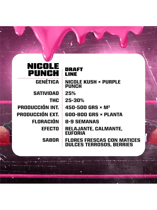 NICOLE PUNCH FEM X4-BSF 2