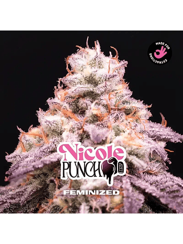NICOLE PUNCH FEM X7-BSF 1