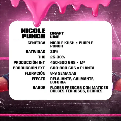 Nicole Punch Fem -Bsf (X12/X7/X4/X2)