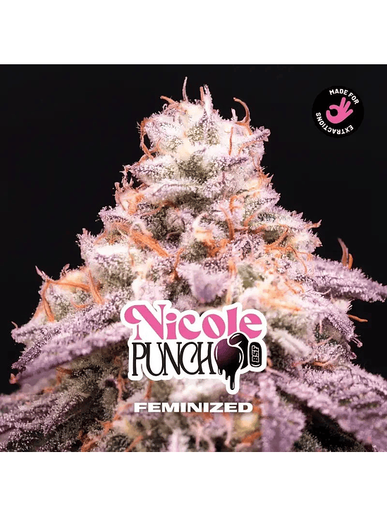 NICOLE PUNCH FEM X12-BSF 1