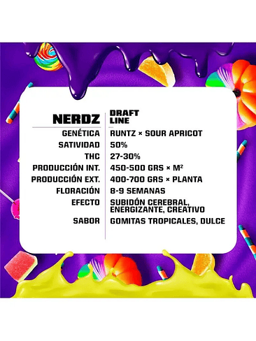 NERDZ FEM X2-BSF 2