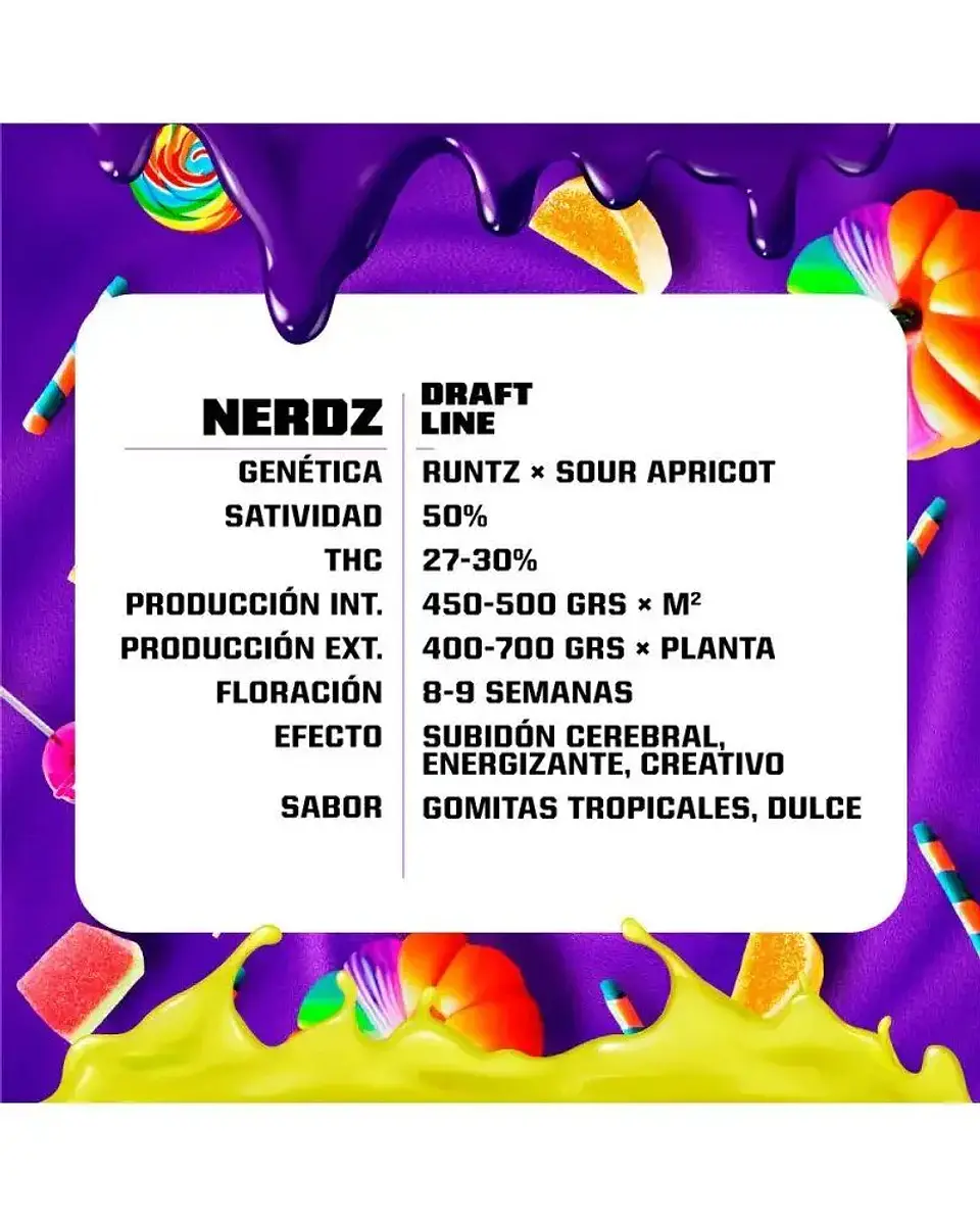 Nerdz Fem -Bsf (X12/X7/X4/X2) 2